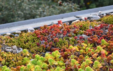 the cost of West Sussex green roof installation