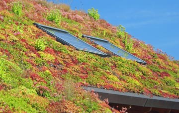 West Sussex living roof systems