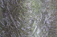 West Sussex fibreglass roof work